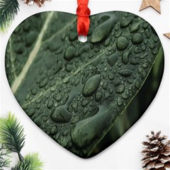 Leaves Water Drops Green  Heart Ornament (two Sides) by artworkshop