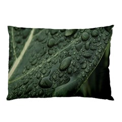 Leaves Water Drops Green  Pillow Case (two Sides) by artworkshop