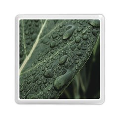 Leaves Water Drops Green  Memory Card Reader (square) by artworkshop