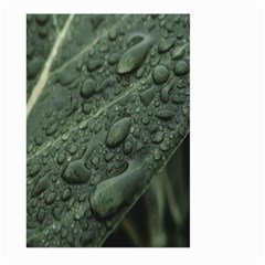 Leaves Water Drops Green  Large Garden Flag (two Sides) by artworkshop