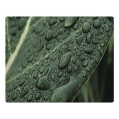 Leaves Water Drops Green  Double Sided Flano Blanket (large)  by artworkshop