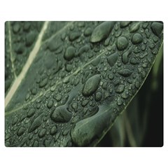 Leaves Water Drops Green  Double Sided Flano Blanket (medium) 