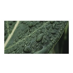 Leaves Water Drops Green  Satin Wrap 35  X 70  by artworkshop