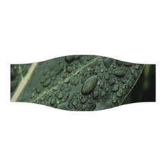 Leaves Water Drops Green  Stretchable Headband by artworkshop