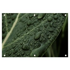 Leaves Water Drops Green  Banner And Sign 6  X 4  by artworkshop