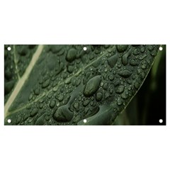 Leaves Water Drops Green  Banner And Sign 4  X 2  by artworkshop