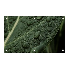 Leaves Water Drops Green  Banner And Sign 5  X 3  by artworkshop