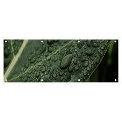 Leaves Water Drops Green  Banner And Sign 8  X 3  by artworkshop