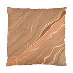 Abstract Marble Effect Earth Stone Texture Standard Cushion Case (One Side) Front