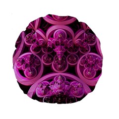 Fractal-math-geometry-visualization Pink Standard 15  Premium Round Cushions