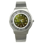 Nature Greenforest Trees Tree Landscape Stainless Steel Watch Front