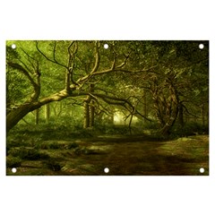 Nature Greenforest Trees Tree Landscape Banner And Sign 6  X 4 