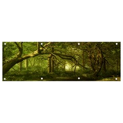 Nature Greenforest Trees Tree Landscape Banner And Sign 9  X 3  by Wegoenart