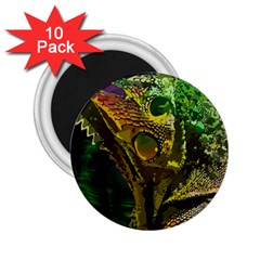 Chameleon Reptile Lizard Animal 2 25  Magnets (10 Pack)  by Wegoenart