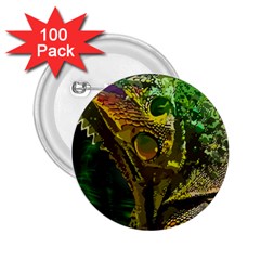 Chameleon Reptile Lizard Animal 2 25  Buttons (100 Pack)  by Wegoenart