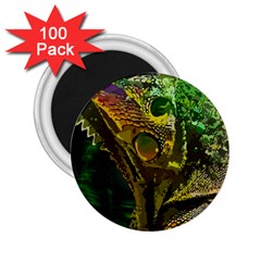 Chameleon Reptile Lizard Animal 2 25  Magnets (100 Pack)  by Wegoenart