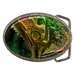 Chameleon Reptile Lizard Animal Belt Buckles by Wegoenart