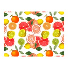 Citrus Fruit Seamless Pattern Double Sided Flano Blanket (mini)  by Wegoenart