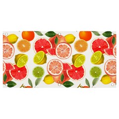 Citrus Fruit Seamless Pattern Banner And Sign 4  X 2 