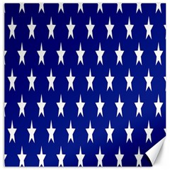 Banner-star Blue Canvas 20  X 20  by nateshop