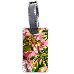 Illustration Paintimg Paint Monstera Leave Leaf Plant Green Luggage Tag (one Side) by Wegoenart