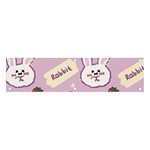 Illustration Rabbit Cartoon Background Pattern Banner and Sign 4  x 1  Front