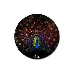 Beautiful Peacock Feather Magnet 3  (round)