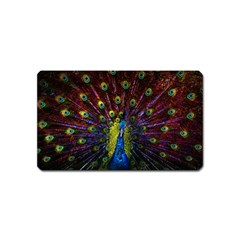 Beautiful Peacock Feather Magnet (name Card) by Jancukart