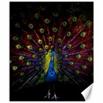 Beautiful Peacock Feather Canvas 8  x 10  8.15 x9.66  Canvas - 1