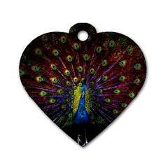 Beautiful Peacock Feather Dog Tag Heart (two Sides)