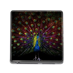 Beautiful Peacock Feather Memory Card Reader (square 5 Slot)