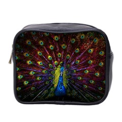 Beautiful Peacock Feather Mini Toiletries Bag (two Sides)