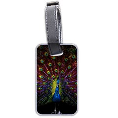 Beautiful Peacock Feather Luggage Tag (two Sides) by Jancukart