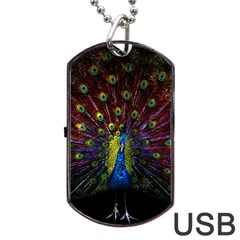 Beautiful Peacock Feather Dog Tag Usb Flash (two Sides)