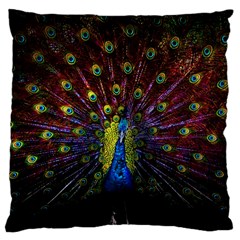 Beautiful Peacock Feather Large Cushion Case (one Side)