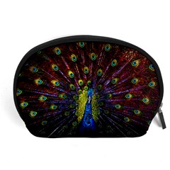 Beautiful Peacock Feather Accessory Pouch (large) by Jancukart