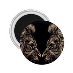 Animalsangry Male Lions Conflict 2 25  Magnets