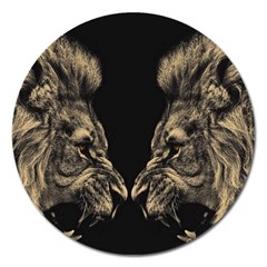 Animalsangry Male Lions Conflict Magnet 5  (round) by Jancukart