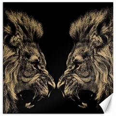 Animalsangry Male Lions Conflict Canvas 16  X 16 