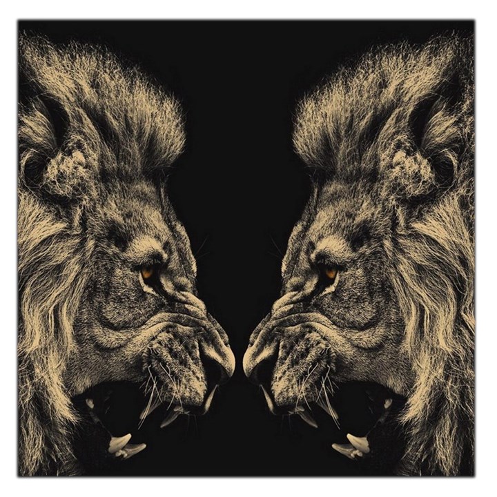 Animalsangry Male Lions Conflict Square Satin Scarf (36  x 36 )