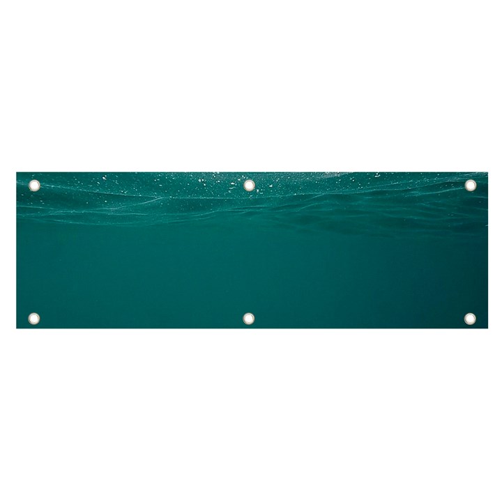 Ocean Banner and Sign 6  x 2 