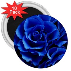 Blue Roses Flowers Plant Romance 3  Magnets (10 Pack)  by Wegoenart