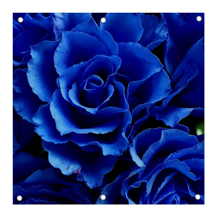 Blue Roses Flowers Plant Romance Banner and Sign 3  x 3 