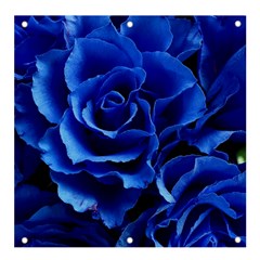 Blue Roses Flowers Plant Romance Banner And Sign 4  X 4 