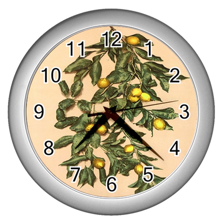 A vintage bunch of lemons Wall Clock (Silver)