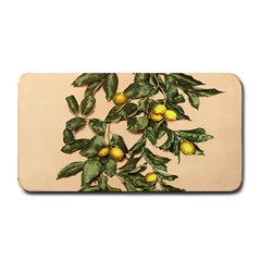 A Vintage Bunch Of Lemons Medium Bar Mats by ConteMonfrey