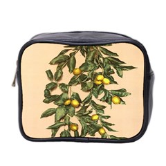 A Vintage Bunch Of Lemons Mini Toiletries Bag (two Sides) by ConteMonfrey