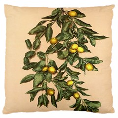 A Vintage Bunch Of Lemons Large Cushion Case (two Sides) by ConteMonfrey