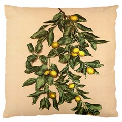 A Vintage Bunch Of Lemons Large Flano Cushion Case (two Sides) by ConteMonfrey