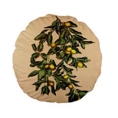 A Vintage Bunch Of Lemons Standard 15  Premium Flano Round Cushions by ConteMonfrey